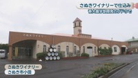 さぬきワイナリー さぬき市小田