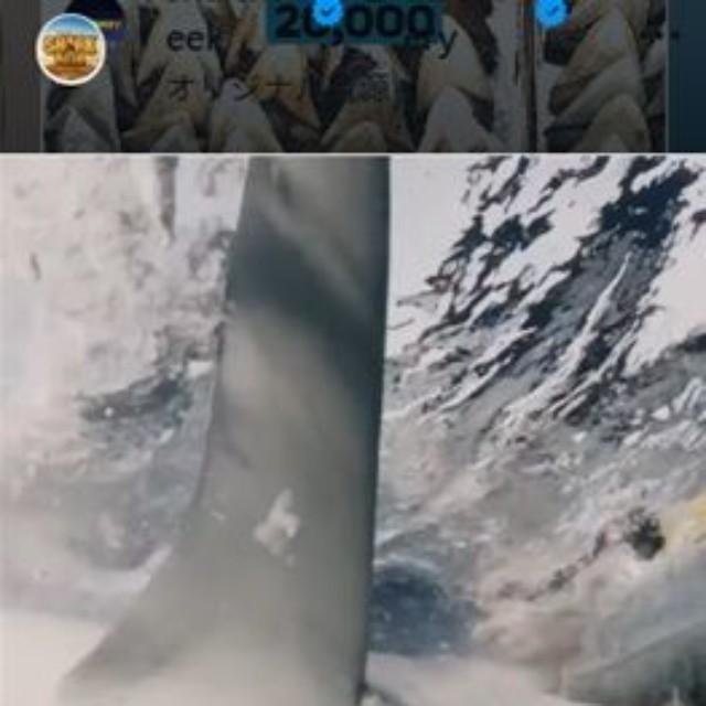 ディスカバリー・チャンネル「シャーク・ウィーク」のインスタグラム＠sharkweekより