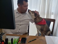 事務所に同伴出勤していた頃。里親募集サイトでふたばちゃんに一目惚れした古賀さんと