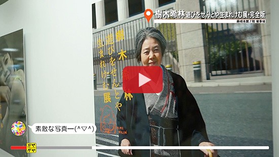 #328樹木希林 遊びをせんとや生まれけむ展・完全版②