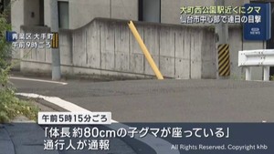 ２日連続でクマの目撃情報　仙台市地下鉄東西線大町西公園駅近くの路上
