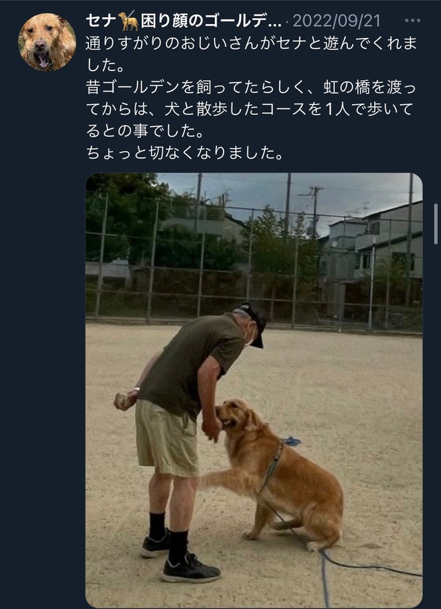 ボールで遊んでくれたおじいさん。セナくんは大好き！（飼い主さん提供）