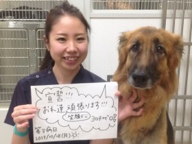 引退ドナー犬、骨肉腫で余命わずかと判明　大の仲良しの動物看護師と交わした「約束」
