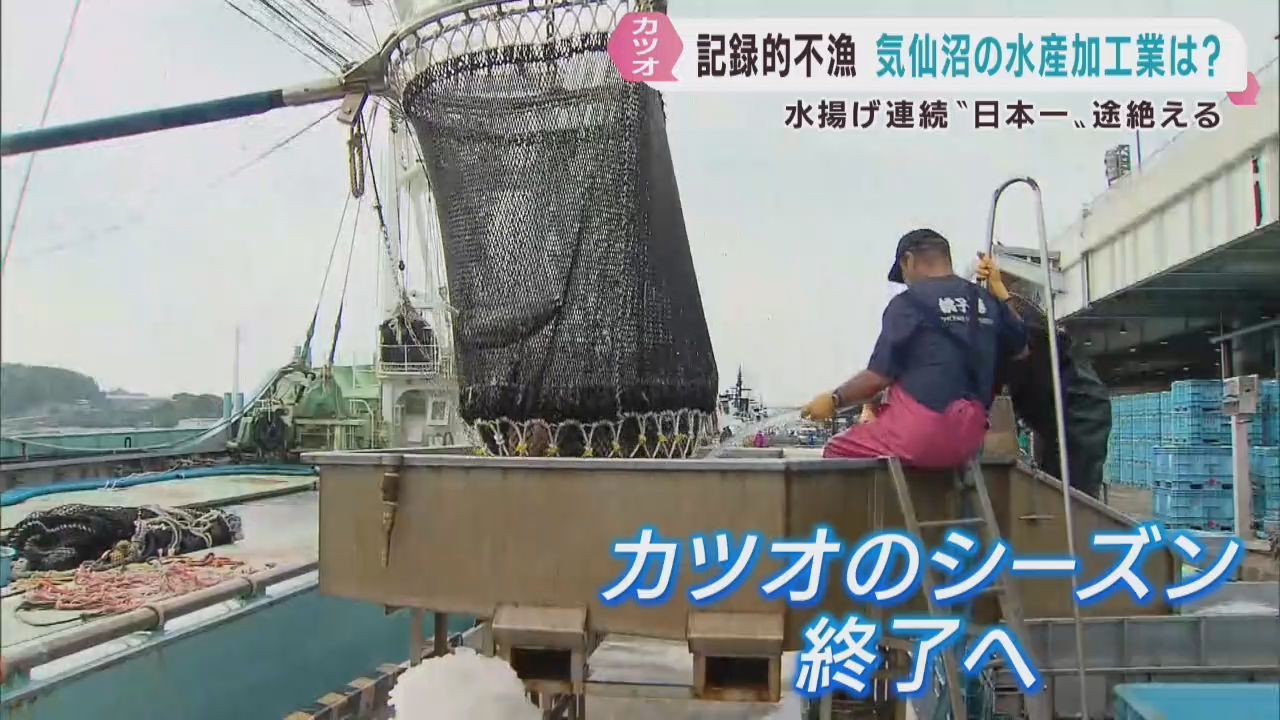 記録的なカツオの不漁　水産加工業にも影響　宮城・気仙沼市