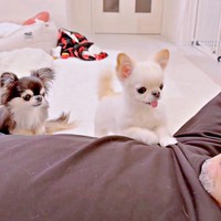 ここから3秒後、「おとうさん」と呼びかけたうにちゃん（右）（画像提供：うにちゃん＆えびちゃん）