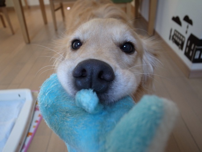 お口がぷっくり、可愛いでしょ？