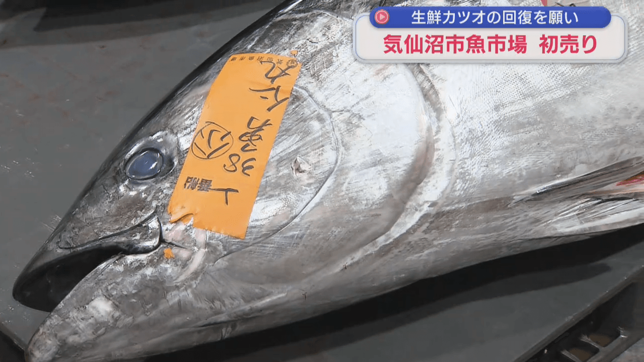 気仙沼市魚市場で「初売り」　前年記録的不漁だったカツオの回復願う