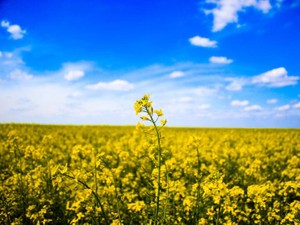 妹みたいなあなたが空に旅立って2年。聞きたいことがいっぱいあるよ