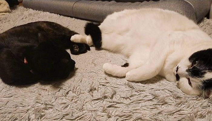 近頃はこんな”絡み