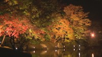 栗林公園の秋のライトアップ　11月