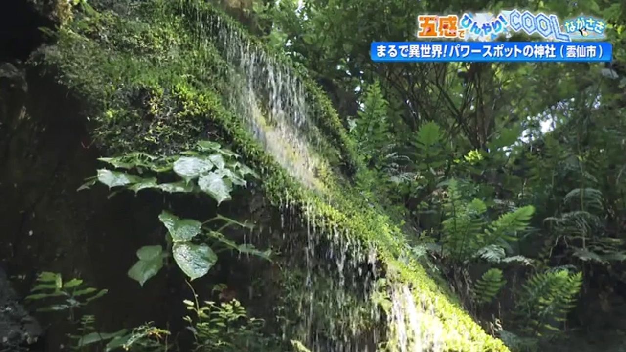 雲仙で“ひんやり体験” まるで異世界！パワースポットの神社 雲仙市