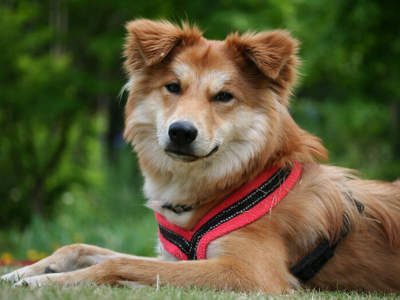 気分がすぐ顔にでる