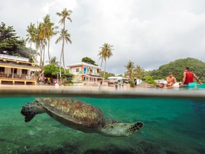 気候変動で脅かされるフィリピンの小さな島　「海のアマゾン」保全のため努力したのに…
