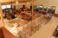 関西盲導犬協会の犬舎内。犬のケージと事務所が一体となっている