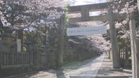 桜馬場