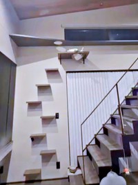 壁沿いにはキャットウォークとハンモック（画像提供：hanoaさん）