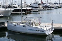 2022年の航海に使われたサントリーマーメイドⅢ号