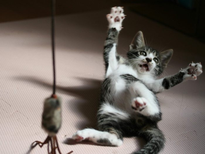 運動神経抜群のソラ