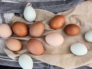 フランスの料理本が友達の家族を作り、私の生き方も作ってくれた