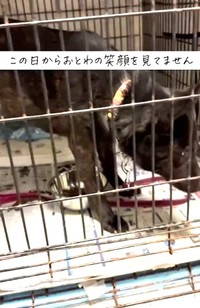 飼い主さんとお別れの日。おとわちゃんの笑顔が消えた（「おっぽの会」さん提供、Instagramよりキャプチャ撮影）