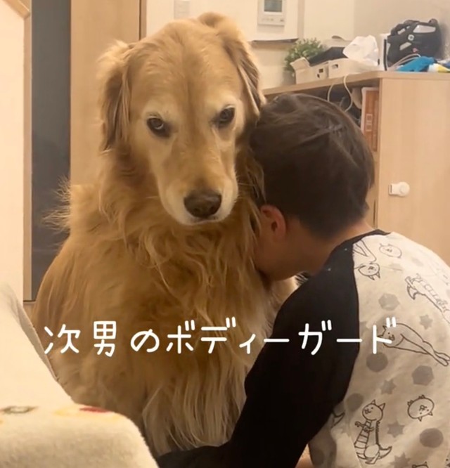 次男くんのボディガード、登場！（提供：@kinako_3brosさん）
（提供：@kinako_3brosさん）