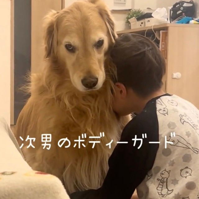 次男くんのボディガード、登場！（提供：@kinako_3brosさん）
（提供：@kinako_3brosさん）