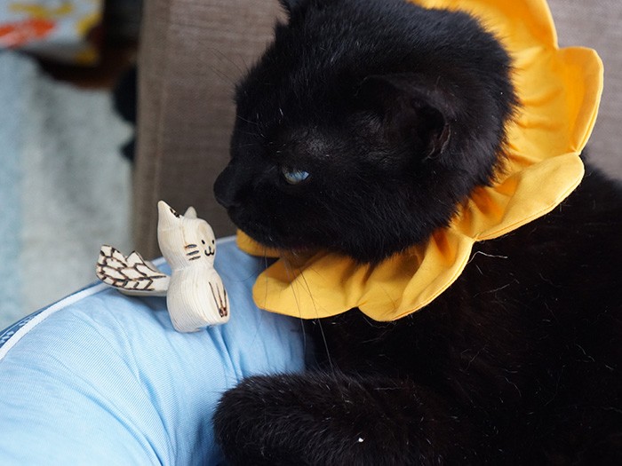 イヌオも気に入った猫の天使