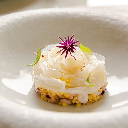 ARMANI:RISTORANTE_カルパッチョ　500_1