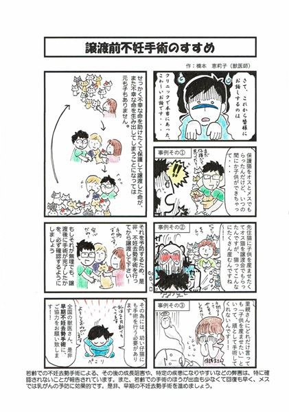 譲渡前に不妊去勢手術をしよう（橋本獣医師提供）