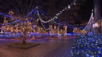 四国学院大学のクリスマスイルミネーション