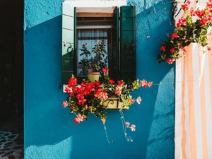 コロナで実家に戻った私。赤く可憐なホウセンカの花が私に決断する勇気をくれた