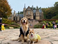 同居犬のシンバくんと、いろいろなところにお出かけしています（提供：erinaさん）