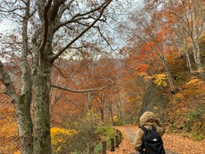 めるちゃんの飼い主
