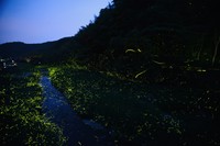 北房ほたる公園周辺の様子／提供：真庭市役所北房振興局