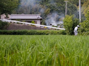 おかあちゃんは汚いと言ってしまった参観日。あの日のことを謝ろう