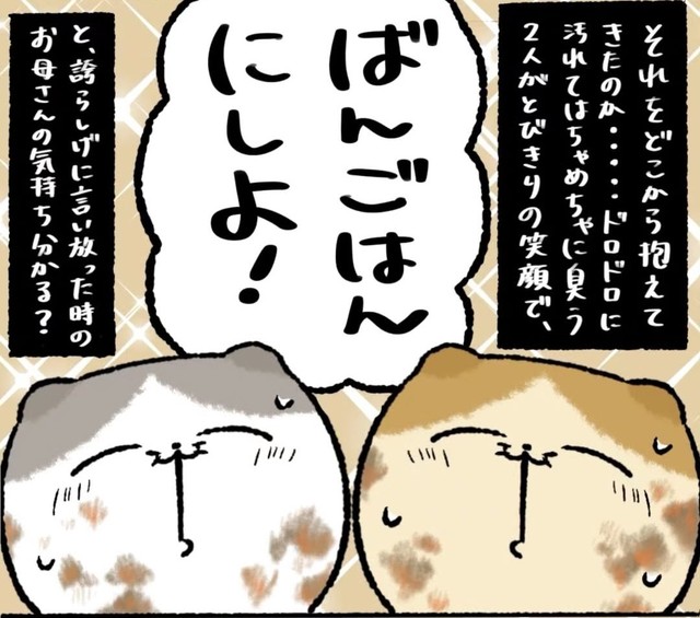 でっかい魚だったから食べようと思う姉妹（ゆう｜ノープロブレムキャットさん提供）