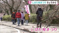 仙台で桜が開花　宮城・柴田町で桜まつり開幕