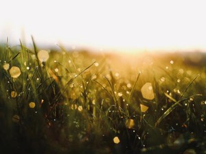 公園を歩き、芝生の上で雑誌を読む。そんなの贅沢だと思い込んでいた