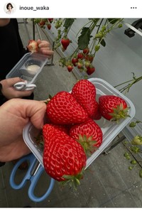 井上和香インスタグラム＠inoue_wakaより