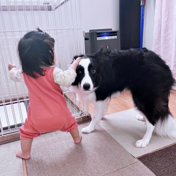 ママのほうをチラッーー信じられないという気持ちがダダ漏れのエマちゃん（画像提供：エマ:Emmaさん）