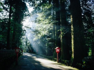 箱根まで歩いて3日。令和になった日に、一番気が合う「私」との旅