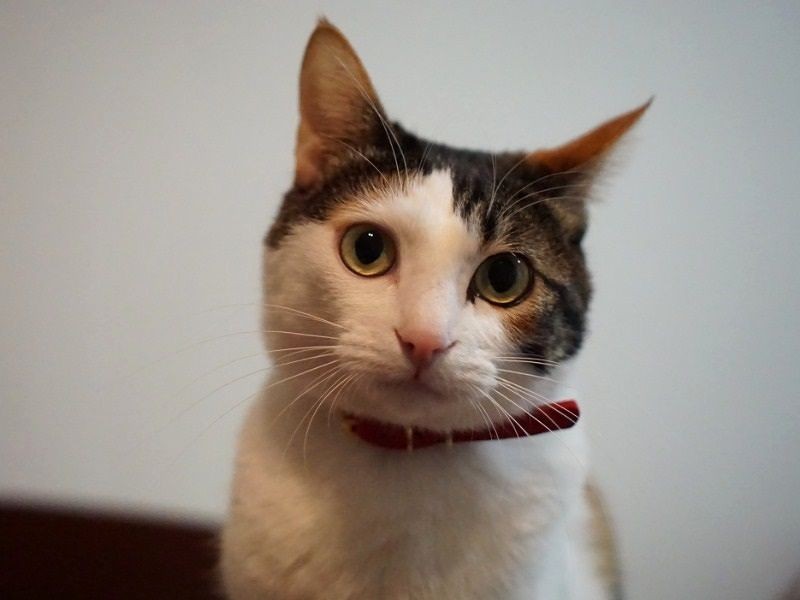 みんなみんな、幸せになろうね