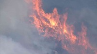 岡山市の山火事の現場　24日午後4時半ごろ