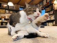 毛づくろい＆エクササイズ中