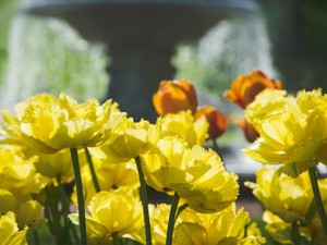 結婚に２度失敗した私が見つけた真理。「結婚するなら理性が飛ぶくらいの愛を探せ」