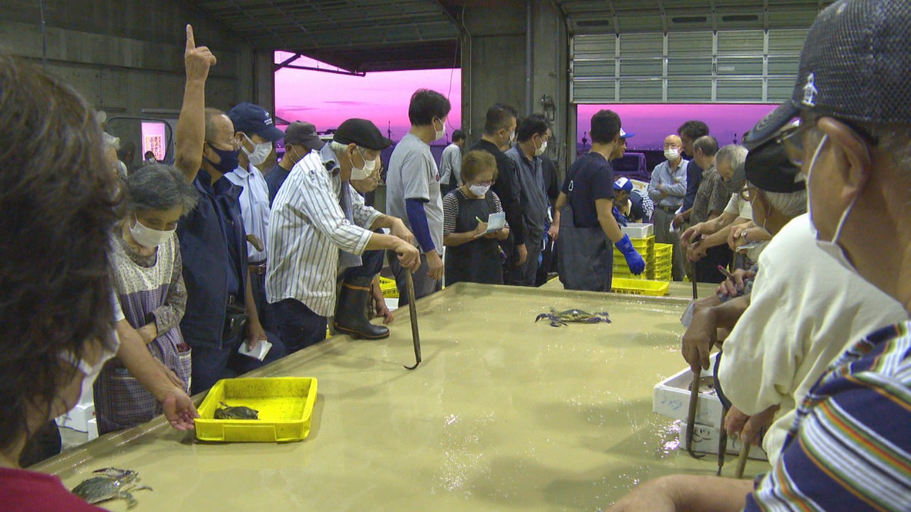 あなたの 推し魚 は 新型コロナ禍でハモには 変化 が Ksbニュース Ksb瀬戸内海放送