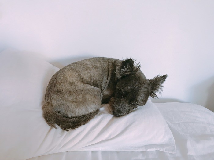 ヘアカットをしてさっぱり