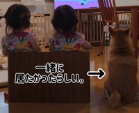 三姉妹の後ろ姿が可愛すぎる♡（提供：＠shiba_mugistaさん）
