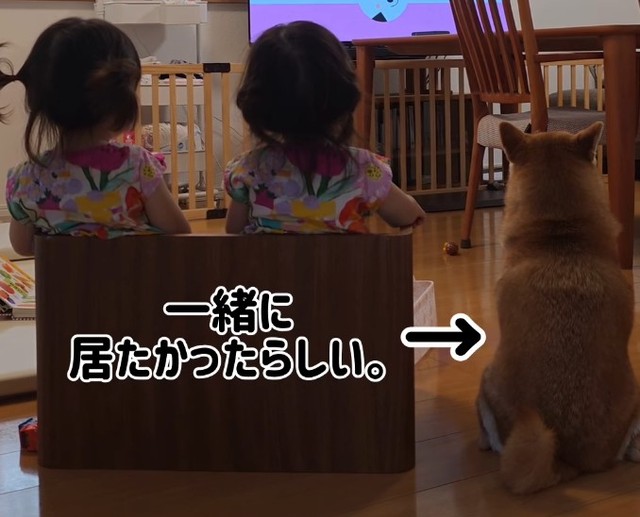 三姉妹の後ろ姿が可愛すぎる♡（提供：＠shiba_mugistaさん）
