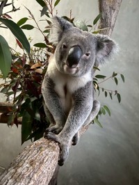 来園当初のノゾム (3)